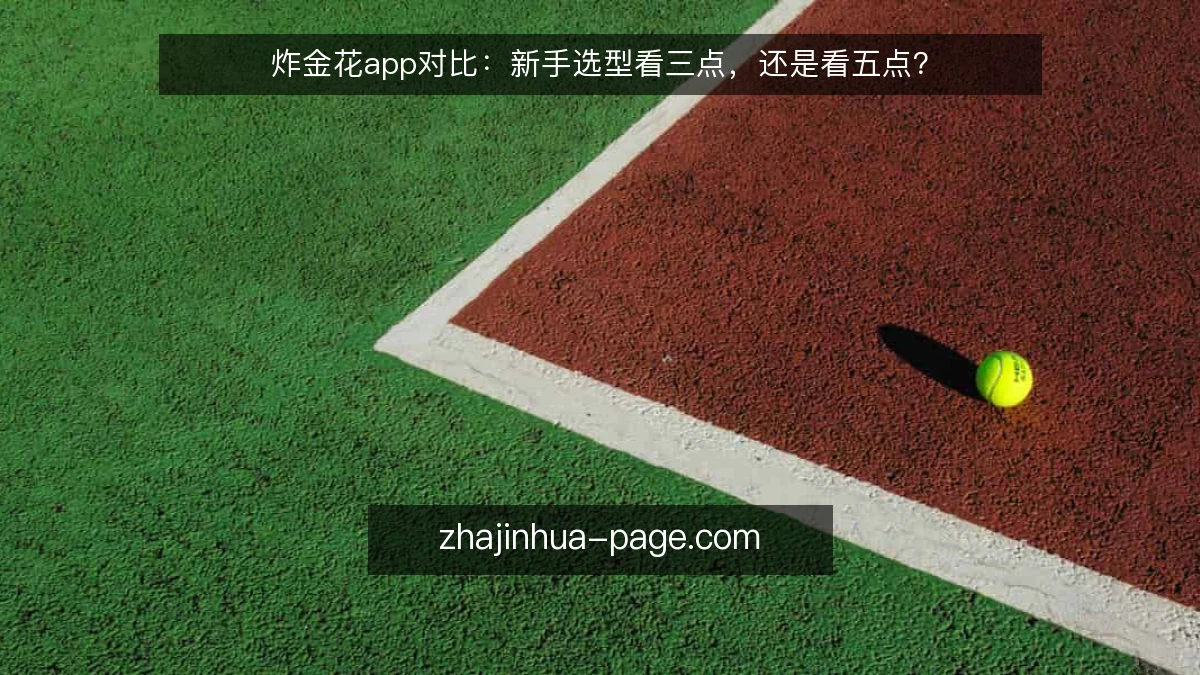 炸金花app对比:新手选型看三点,还是看五点?