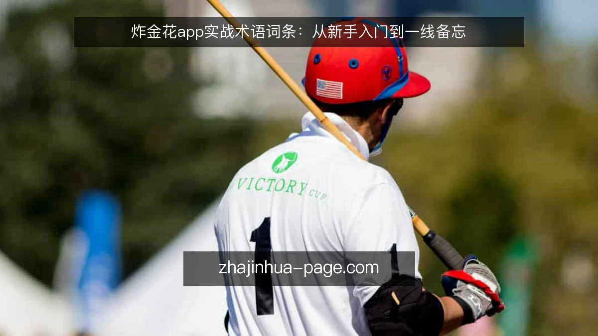 炸金花app实战术语词条：从新手入门到一线备忘