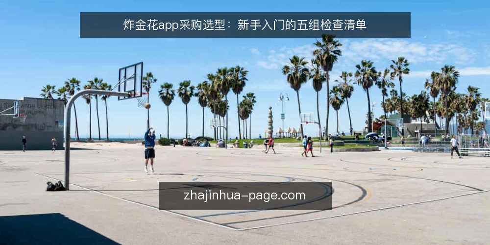 炸金花app采购选型:新手入门的五组检查清单 — 为什么现在做一次选型审计 配图