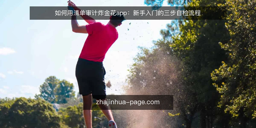 如何用清单审计炸金花app:新手入门的三步自检流程 — 先审计再上手:为什么现在就要做 配图
